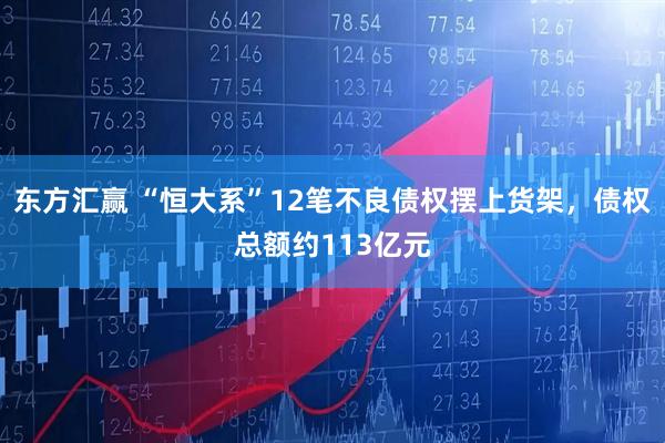 东方汇赢 “恒大系”12笔不良债权摆上货架，债权总额约113亿元