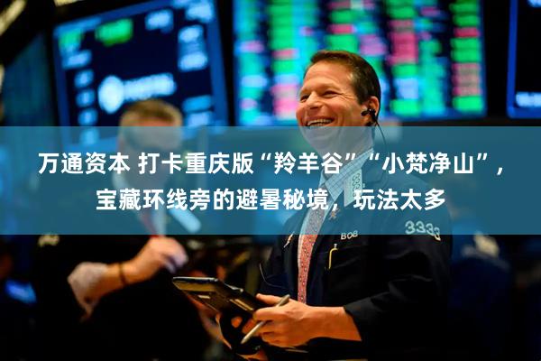 万通资本 打卡重庆版“羚羊谷”“小梵净山”，宝藏环线旁的避暑秘境，玩法太多