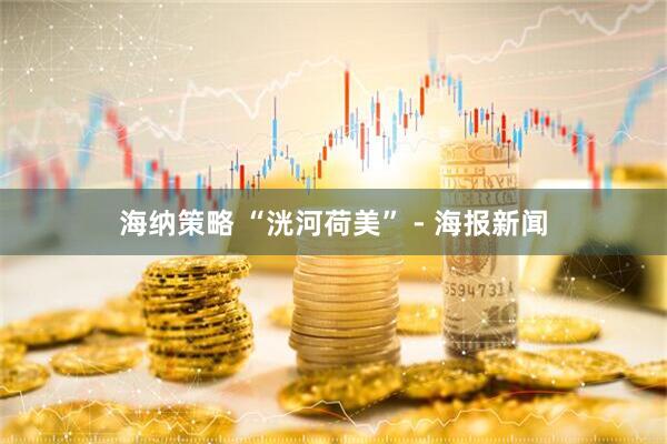 海纳策略 “洸河荷美” - 海报新闻