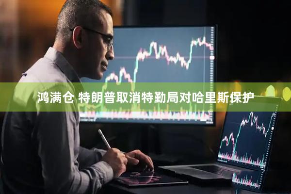 鸿满仓 特朗普取消特勤局对哈里斯保护