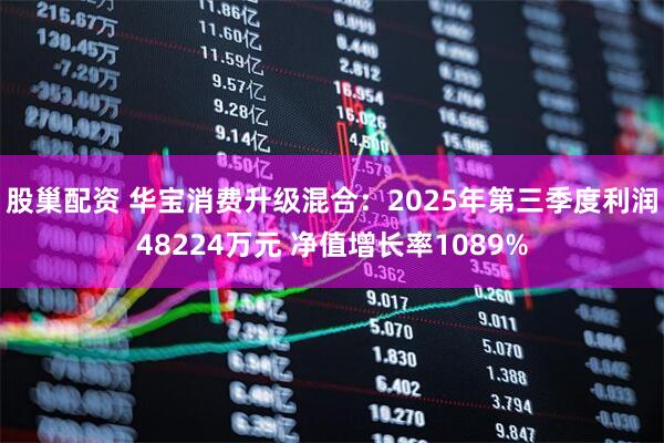 股巢配资 华宝消费升级混合：2025年第三季度利润48224万元 净值增长率1089%